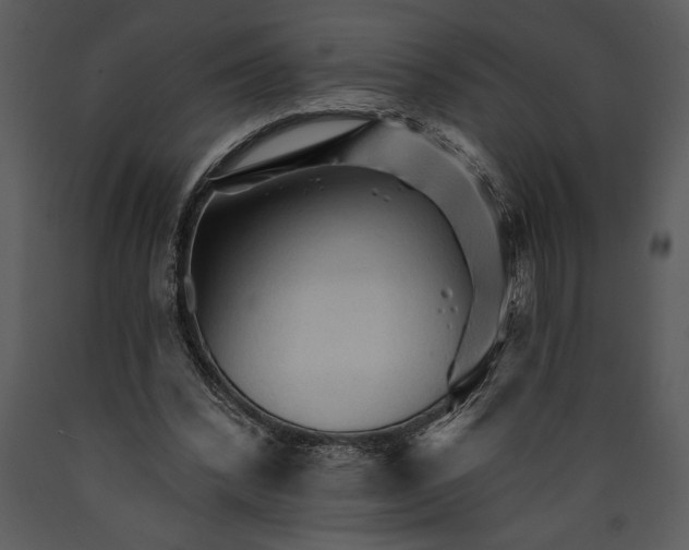 X0000089660392200707191653