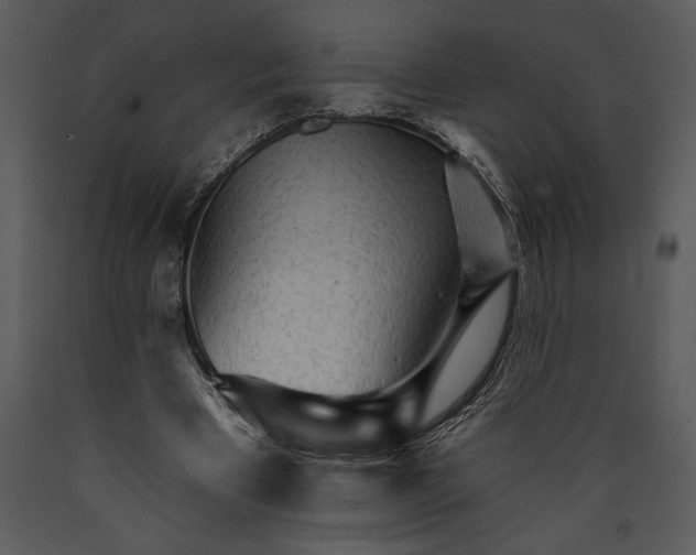 X0000089660393200707191653