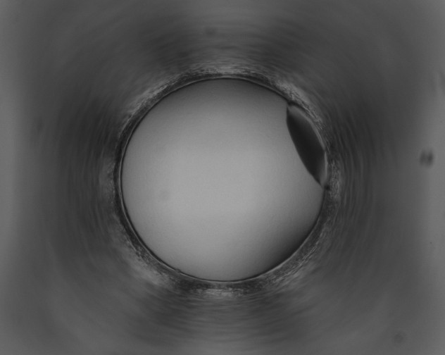 X0000089660394200707191653