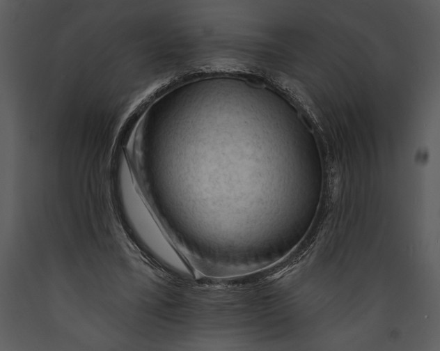 X0000089660395200707191653