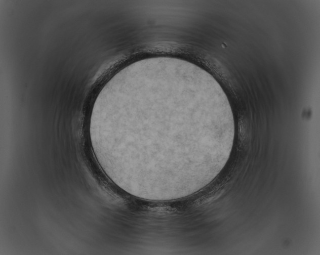 X0000089660396200707191653