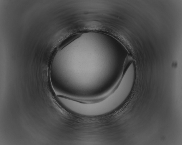 X0000089660397200707191653