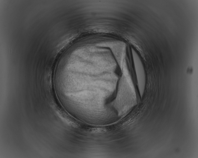 X0000089660398200707191653