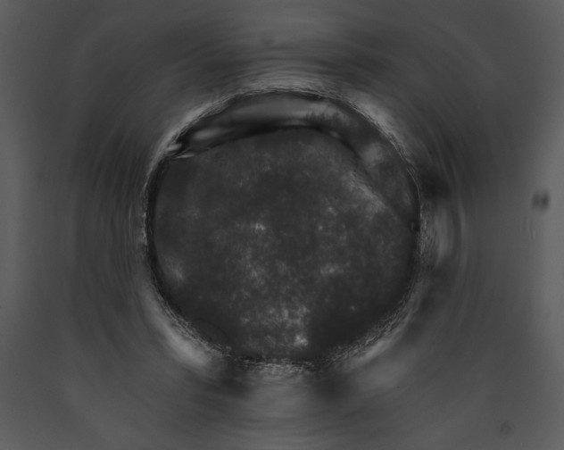 X0000089660399200707191653