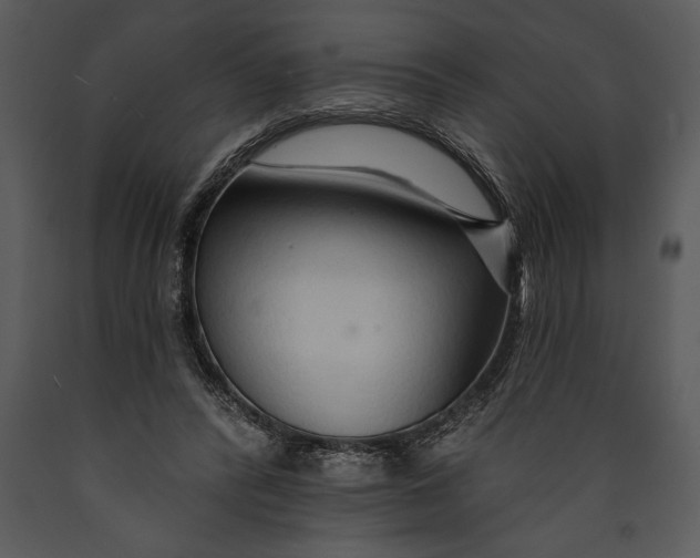 X0000089660400200707191653
