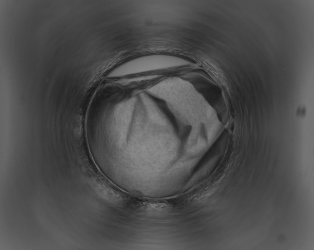 X0000089660401200707191653