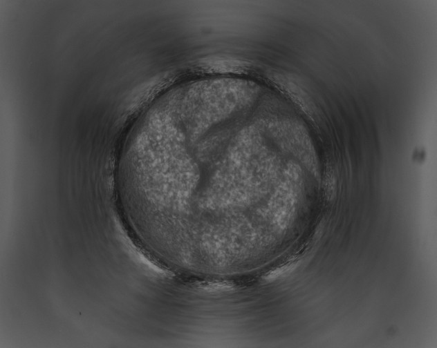 X0000089660402200707191653