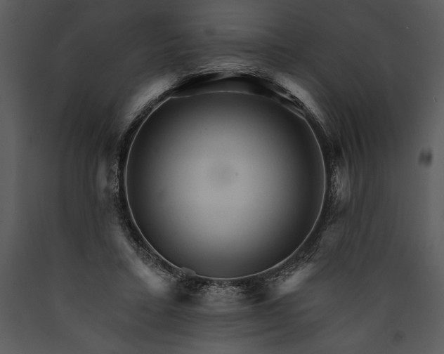X0000089660403200707191653