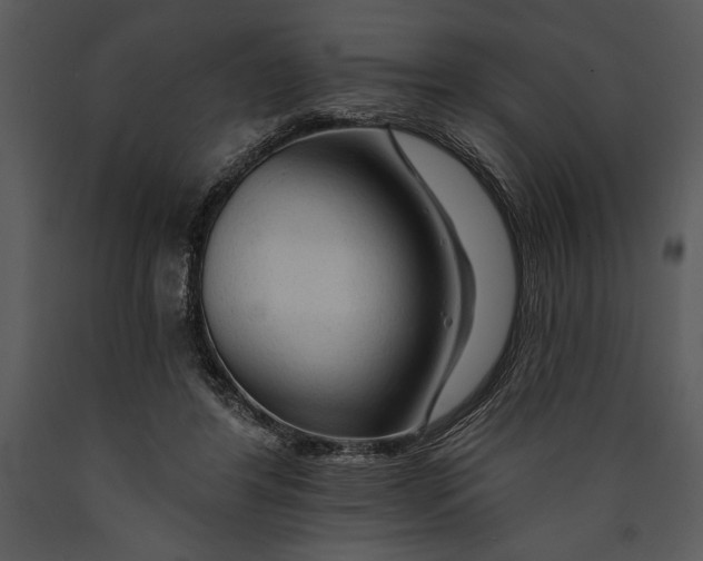 X0000089660404200707191653