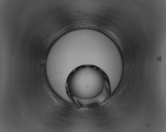 X0000089660405200707191653