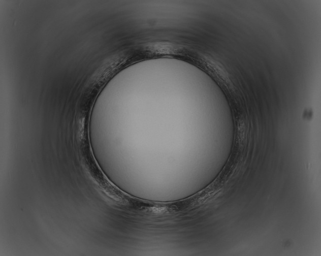 X0000089660406200707191653