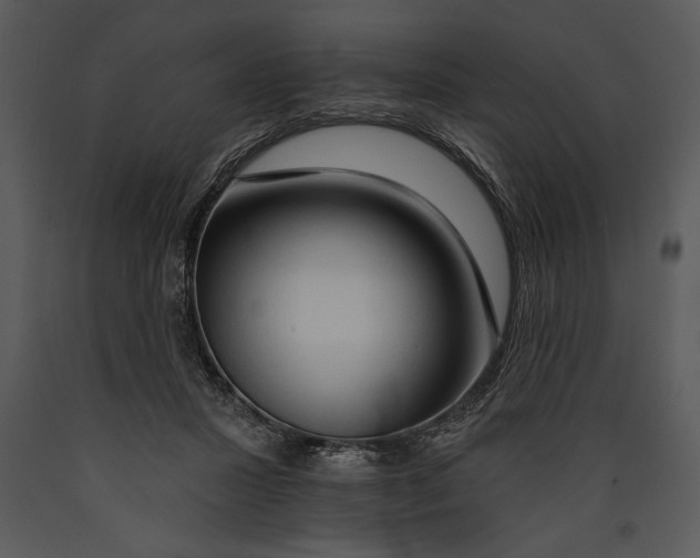X0000089660407200707191653