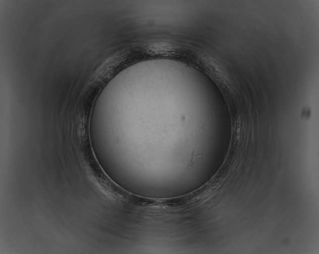 X0000089660408200707191653