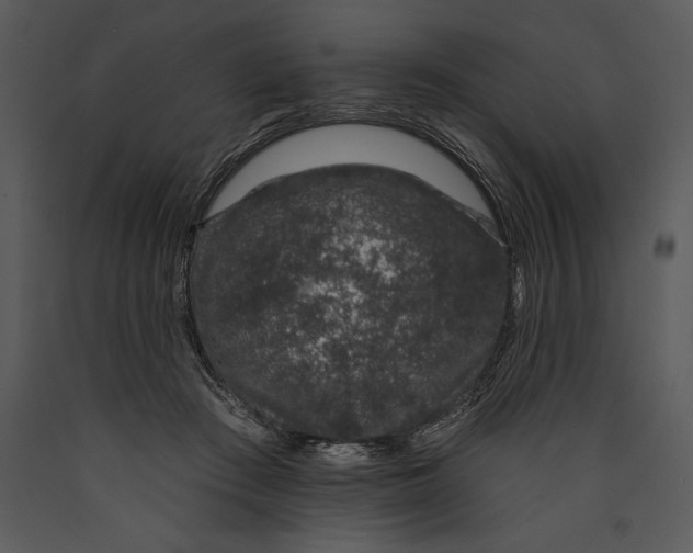 X0000089660409200707191653