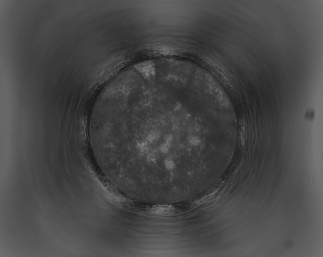 X0000089660410200707191653