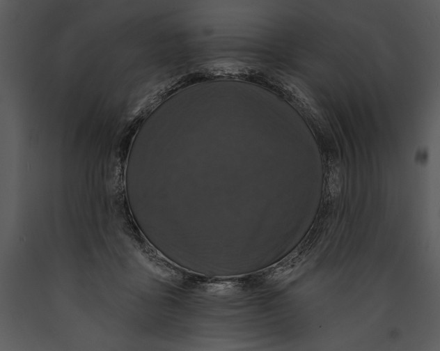 X0000089660411200707191653
