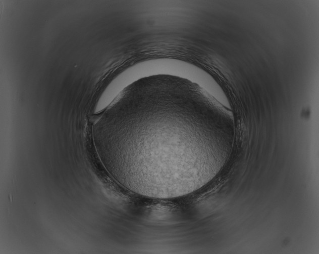 X0000089660412200707191653