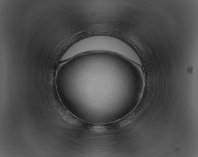 X0000089660413200707191653