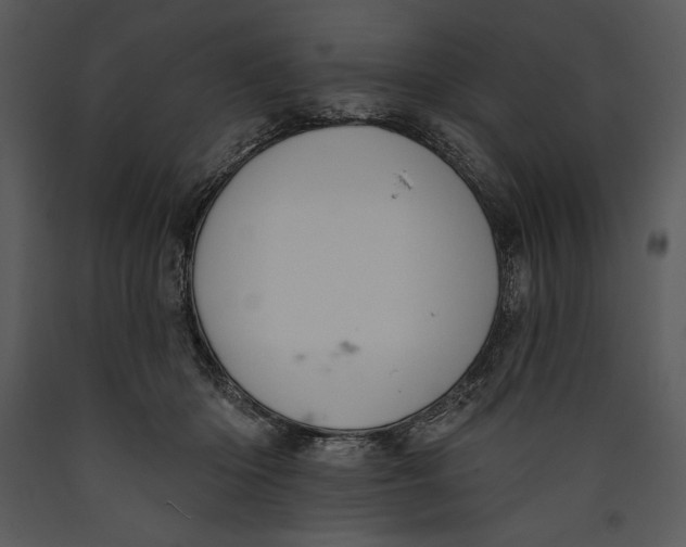 X0000089660414200707191653