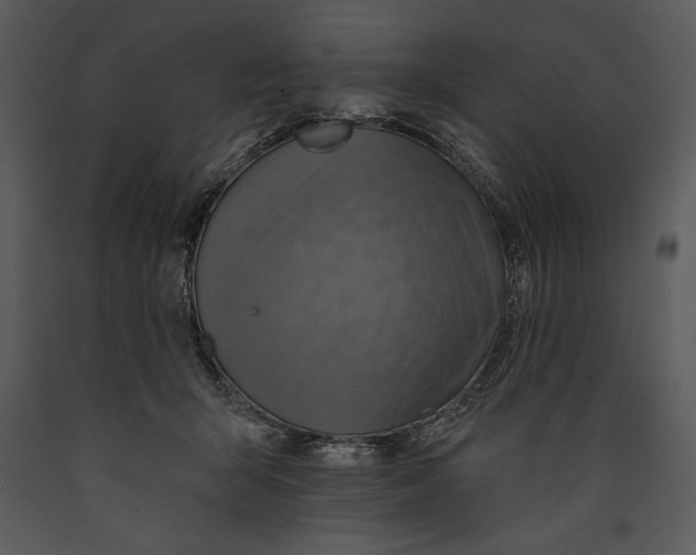 X0000089660415200707191653
