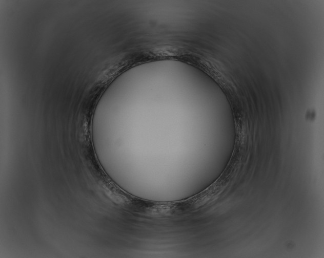 X0000089660418200707191653
