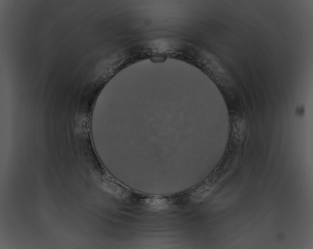 X0000089660419200707191653