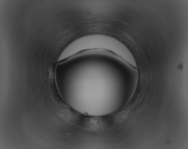 X0000089660420200707191653