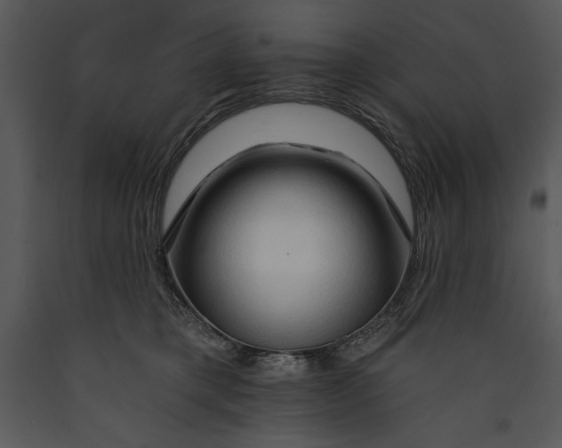 X0000089660421200707191653
