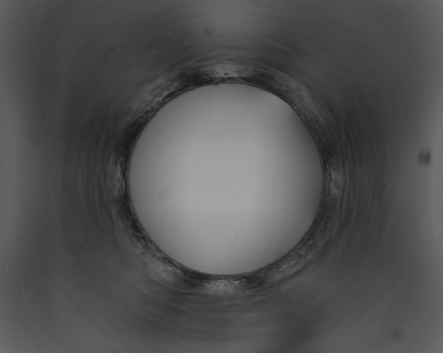 X0000089660422200707191653