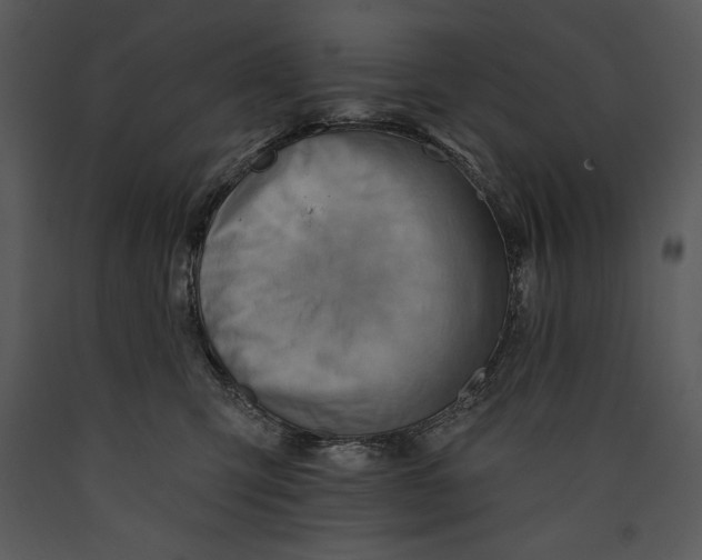 X0000089660423200707191653
