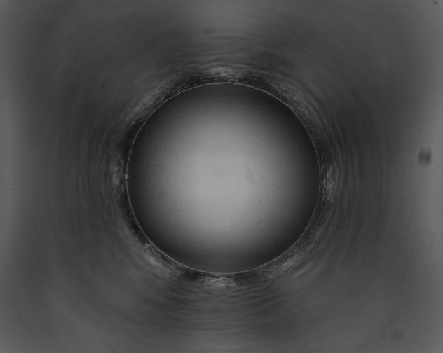 X0000089660424200707191653