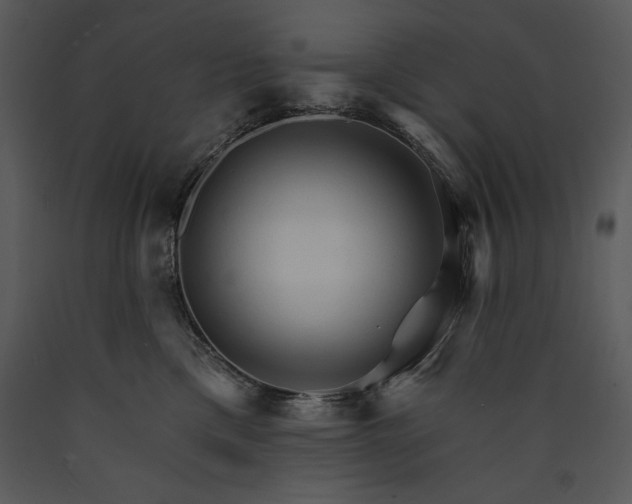 X0000089660425200707191653