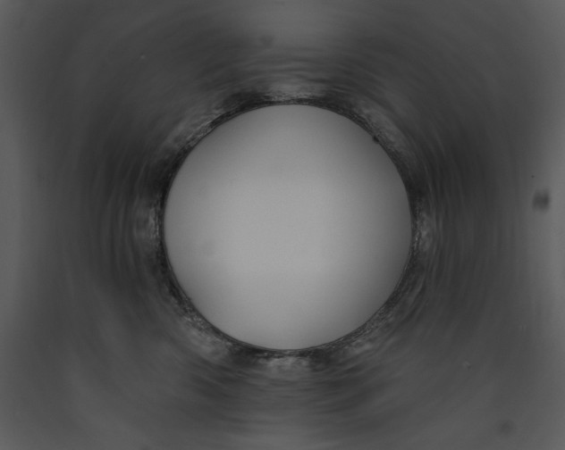 X0000089660426200707191653