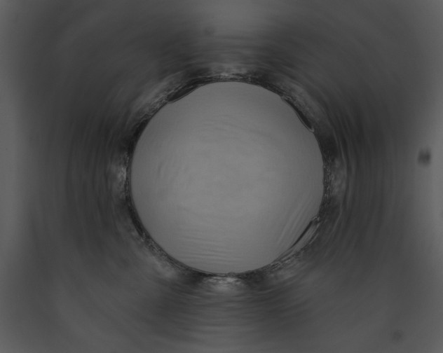 X0000089660427200707191653