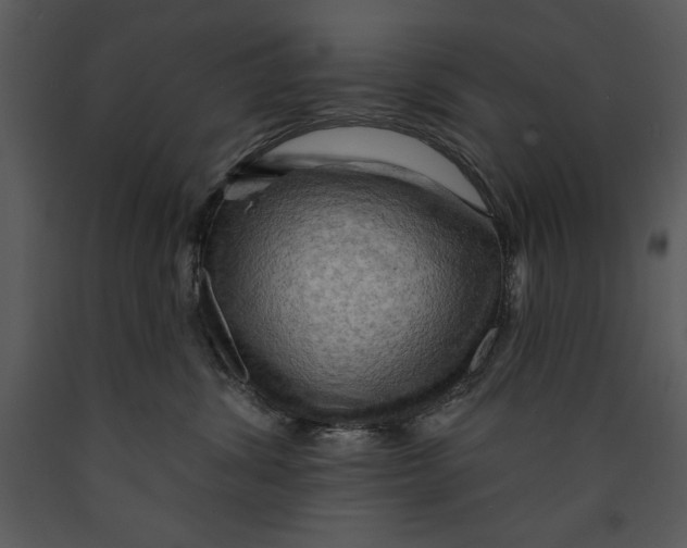 X0000089660428200707191653