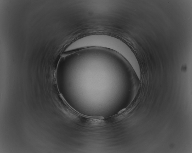 X0000089660429200707191653