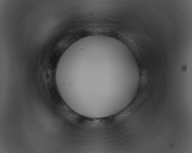 X0000089660430200707191653