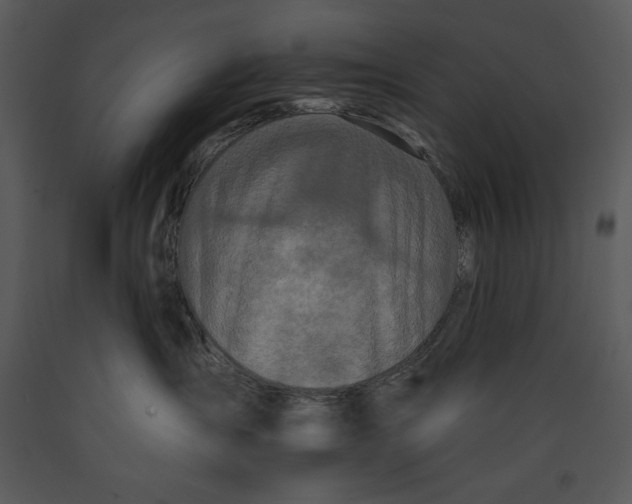 X0000089660431200707191653