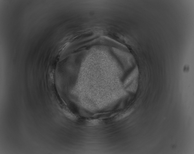 X0000089660432200707191653