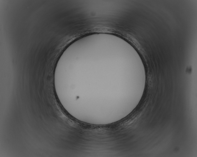 X0000089660433200707191652
