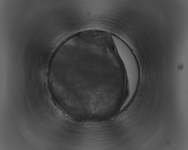 X0000089660434200707191652