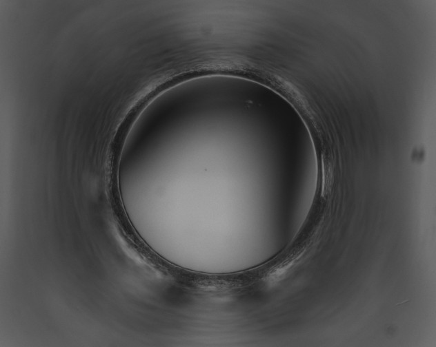 X0000089660435200707191652