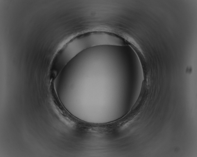 X0000089660436200707191652