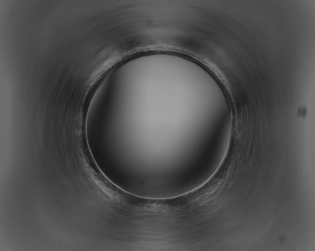 X0000089660437200707191652