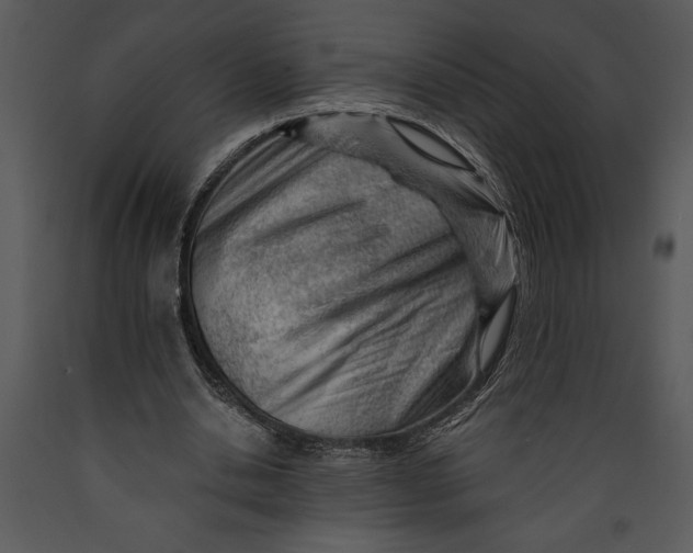 X0000089660438200707191652