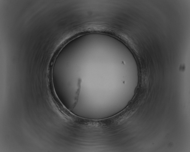 X0000089660439200707191652