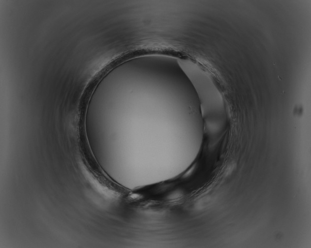 X0000089660440200707191652