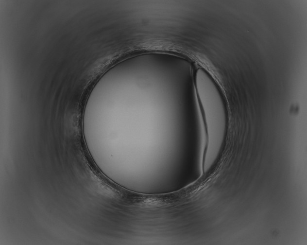 X0000089660441200707191652
