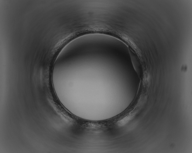 X0000089660442200707191652