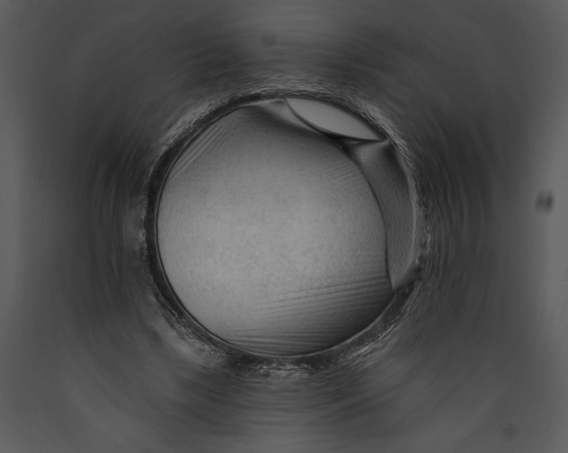 X0000089660443200707191652